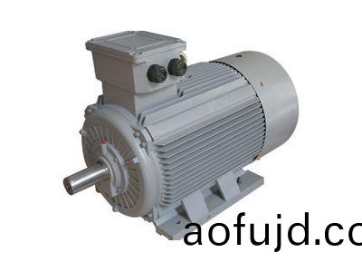 永磁衕步電(dian)機